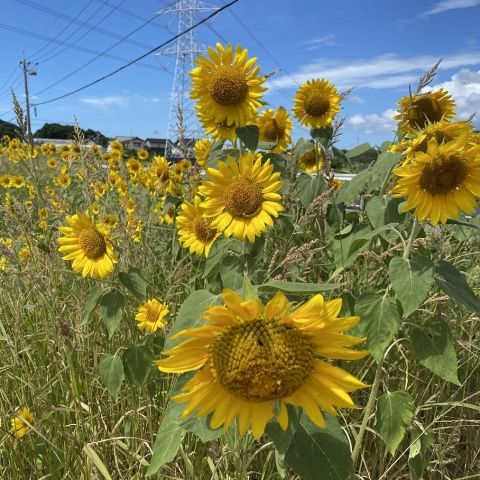 業務再開 写真