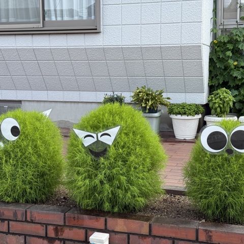 夏期休暇のお知らせ 写真
